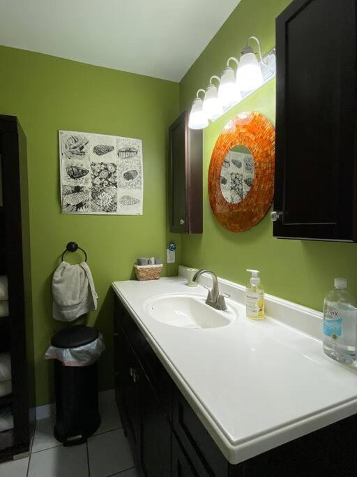 One Bed Suite Near Beaches And Downtown Sarasota Dış mekan fotoğraf